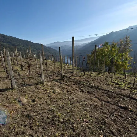 The Little Vineyard Douro Valley * Penha Longa